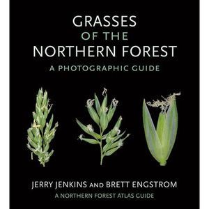 Grasses of the Northern Forest: A Photographic Guide -- Jerry Jenkins
